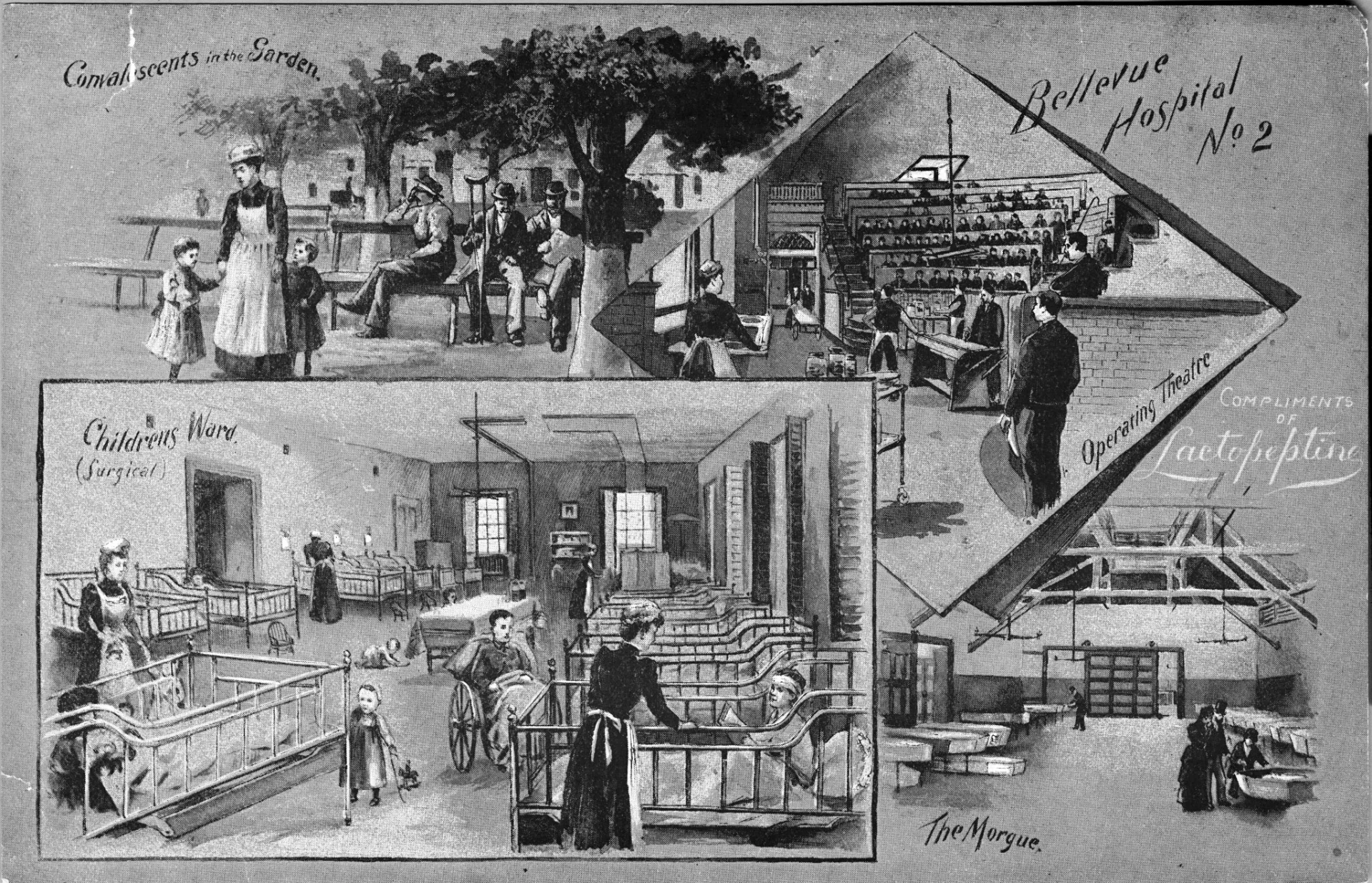 collage of 1800s illustrations of hospital